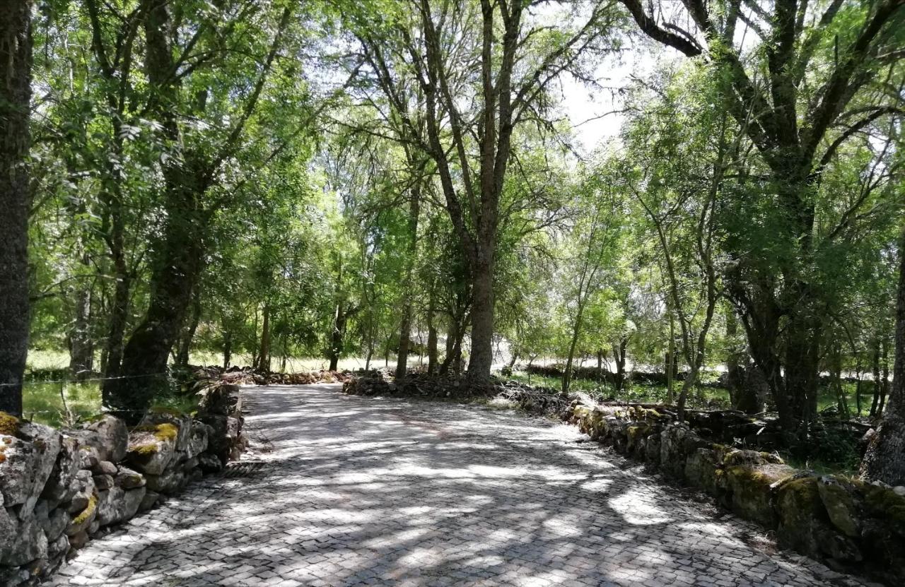 Carya Tallaya - Casas De Campo Vale das Eguas Bagian luar foto