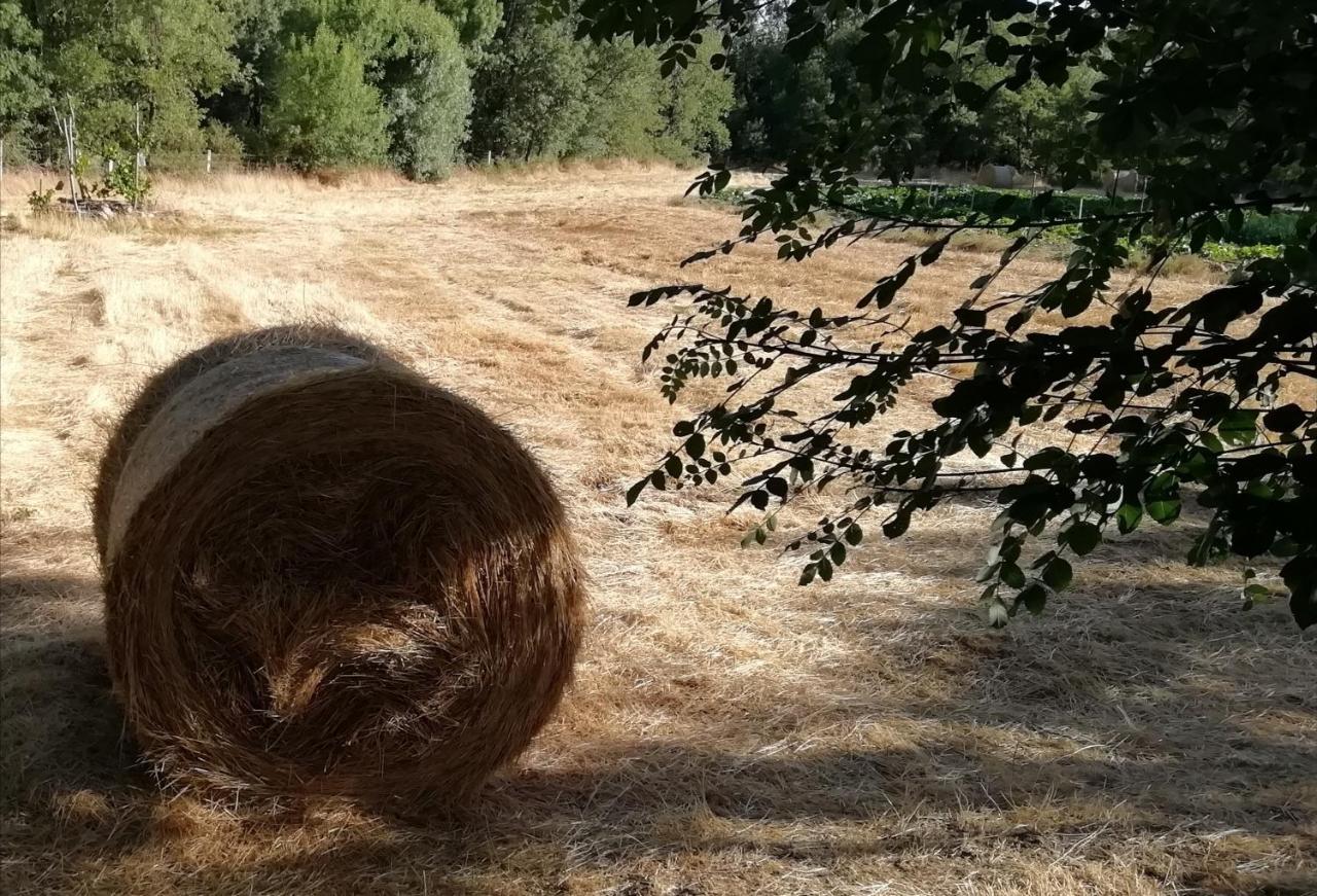 Carya Tallaya - Casas De Campo Vale das Eguas Bagian luar foto